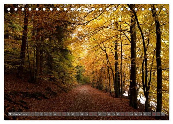 Produktbild: Weinland Pfalz - Region S&uuml;dliche Weinstra&szlig;e (Tischkalender 2026 DIN A5 quer), CALVENDO Monatskalender