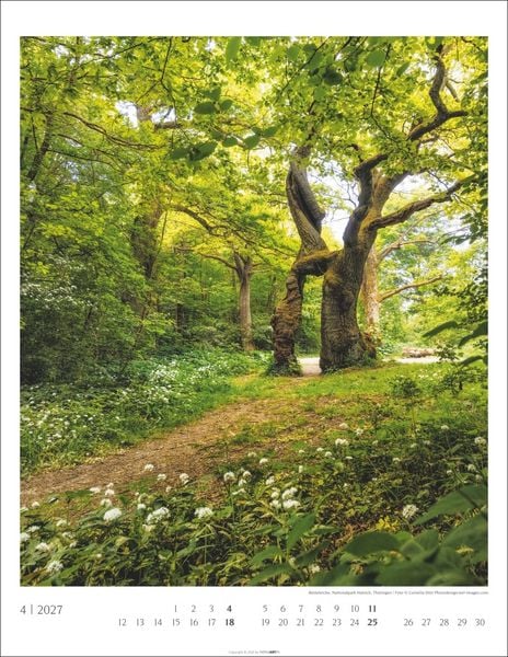 Produktbild: Heimische W&auml;lder Kalender 2027