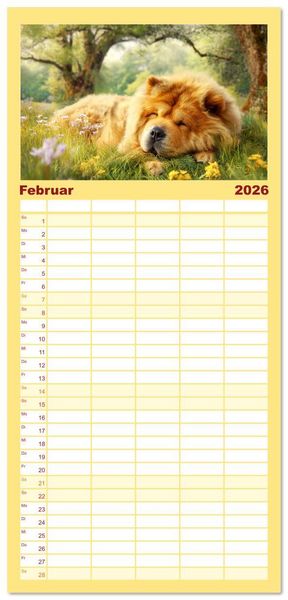 Produktbild: Familienplaner 2026 - Chow Chow Momente. Fellpoesie aus dem Reich der Mitte mit 5 Spalten (Wandkalender, 21 x 45 cm) CALVENDO