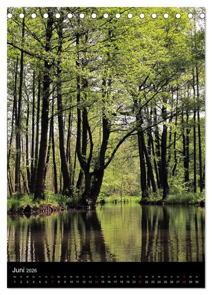 Produktbild: Land Brandenburg im Wechsel der Jahreszeiten (Tischkalender 2026 DIN A5 hoch), CALVENDO Monatskalender
