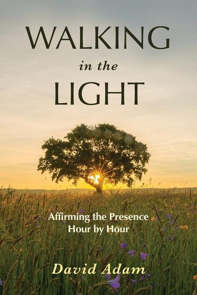 Produktbild: Walking in the Light
