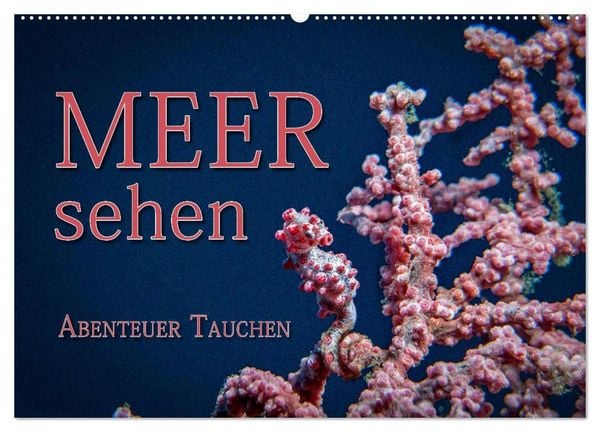 Produktbild: Meer sehen - Abenteuer Tauchen (Wandkalender 2026 DIN A2 quer), CALVENDO Monatskalender