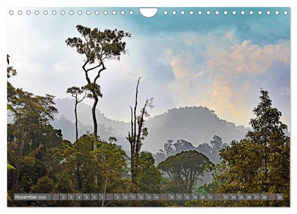 Produktbild: Im Regenwald von Borneo (Wandkalender 2026 DIN A4 quer), CALVENDO Monatskalender