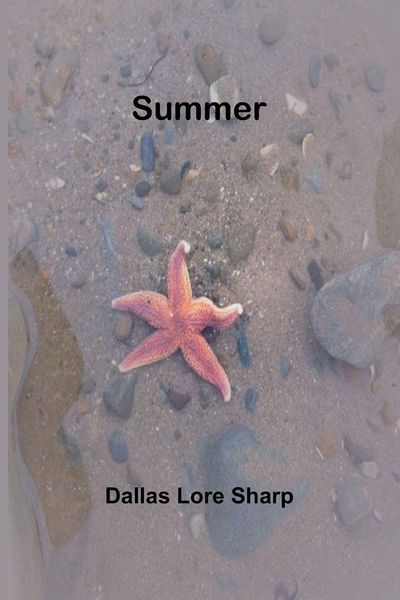 Produktbild: Summer.
