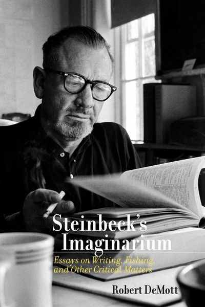 Produktbild: Steinbeck's Imaginarium