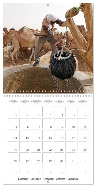Produktbild: Desert - unknown exciting (Wall Calendar 2026 12 &times; 12 Inch) CALVENDO 12 Month Wall Calendar