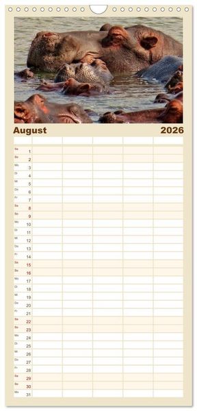 Produktbild: Familienplaner 2026 - Flusspferde - gem&uuml;tlich gef&auml;hrlich mit 5 Spalten (Wandkalender, 21 x 45 cm) CALVENDO