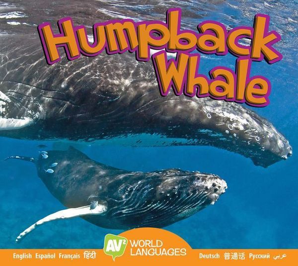 Produktbild: Humpback Whale