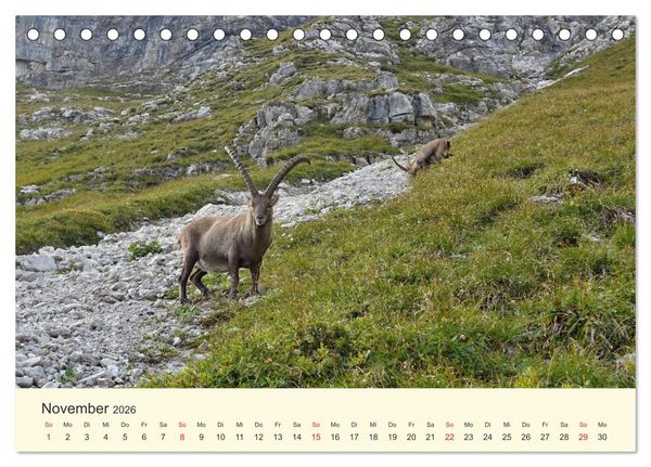 Produktbild: Wandergl&uuml;ck im Allg&auml;u (Tischkalender 2026 DIN A5 quer), CALVENDO Monatskalender
