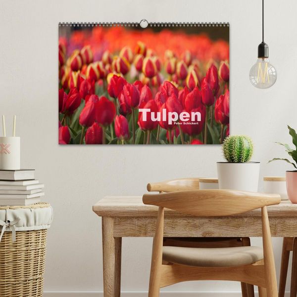 Produktbild: Tulpen (Wandkalender 2026 DIN A3 quer), CALVENDO Monatskalender