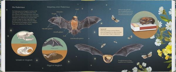 Produktbild: Ich bau dir ein Haus, kleine Fledermaus