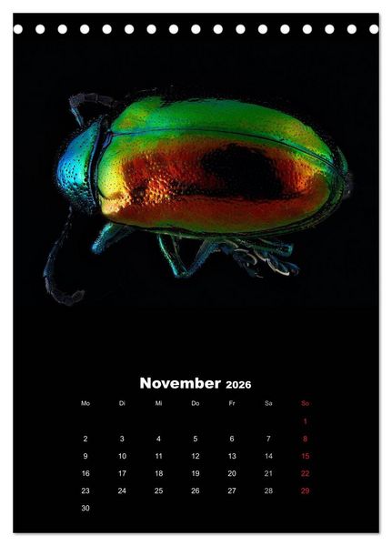 Produktbild: Schillernde Insektenwelt (Tischkalender 2026 DIN A5 hoch), CALVENDO Monatskalender