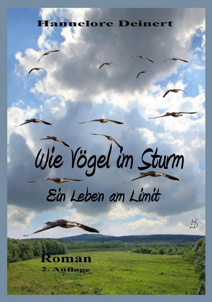 Produktbild: Wie V&ouml;gel im Sturm