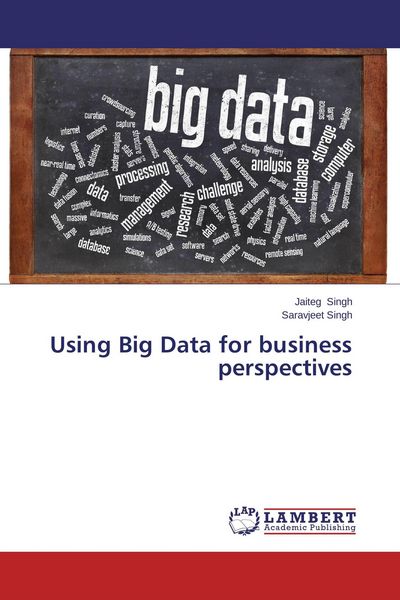 Produktbild: Using Big Data for business perspectives