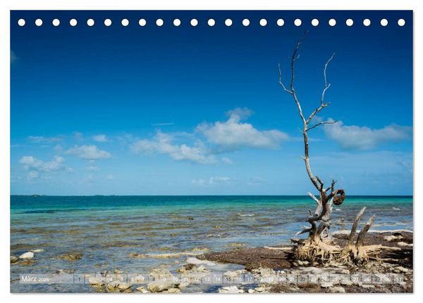 Produktbild: Florida. Sonne und Meer (Tischkalender 2026 DIN A5 quer), CALVENDO Monatskalender