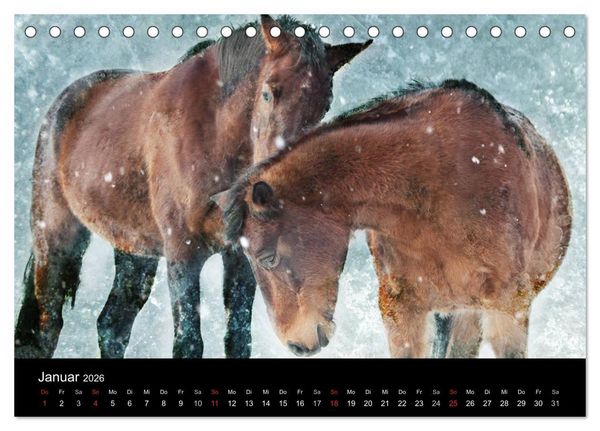 Produktbild: Pferde zum Tr&auml;umen (Tischkalender 2026 DIN A5 quer), CALVENDO Monatskalender