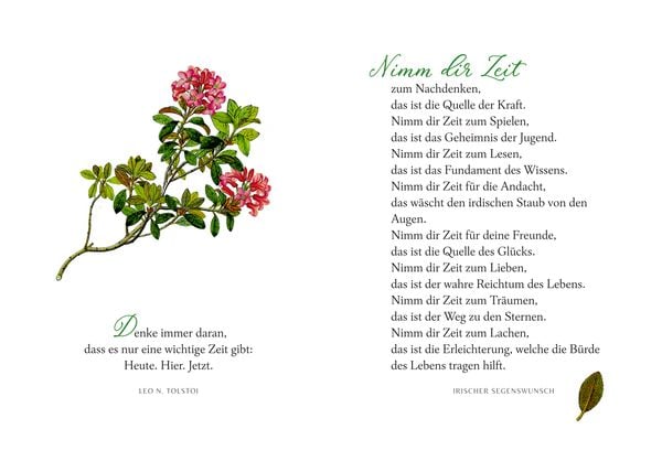 Produktbild: Sch&ouml;ner lesen! No.48: In d. Ruhe liegt das Gl&uuml;ck (AUGUSTINA)