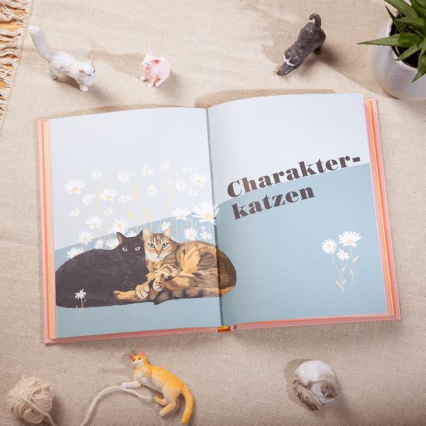 Produktbild: Miau - Wie gut kennst du deine Katze?