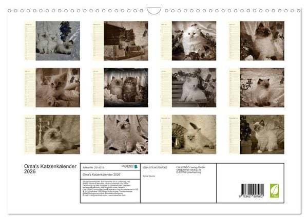 Produktbild: Oma's Katzenkalender 2026 (Wandkalender 2026 DIN A3 quer), CALVENDO Monatskalender