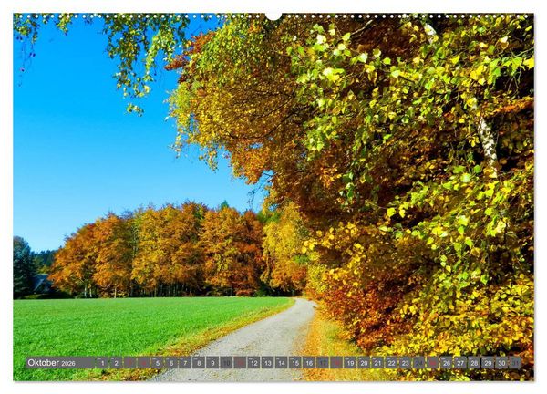 Produktbild: Wege finden immer ein Ziel (Wandkalender 2026 DIN A2 quer), CALVENDO Monatskalender