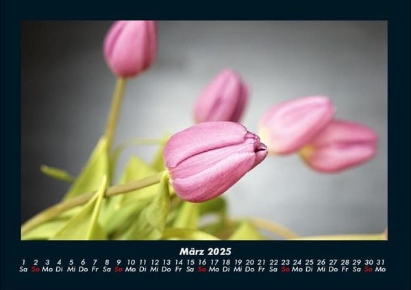 Produktbild: Blumenkalender 2025 Fotokalender DIN A4