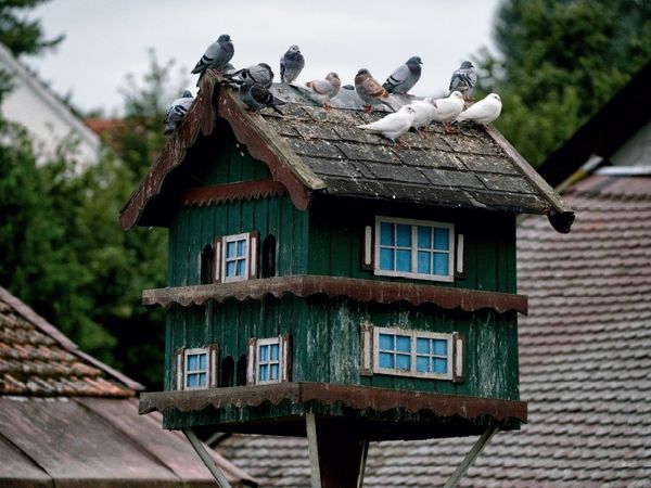 Produktbild: Ein Motiv aus dem Kalender Taubenh&auml;user aus dem Dachauer Land (Puzzle)