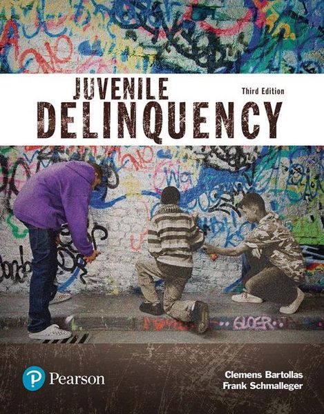 Produktbild: Juvenile Delinquency (Justice Series)