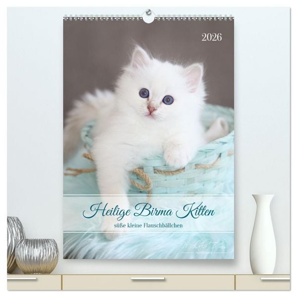 Produktbild: Heilige Birma Kitten - s&uuml;&szlig;e kleine Flauschb&auml;llchen (hochwertiger Premium Wandkalender 2026 DIN A2 hoch), Kunstdruck in Hochglanz