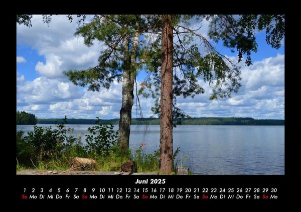 Produktbild: B&auml;ume 2025 Fotokalender DIN A3