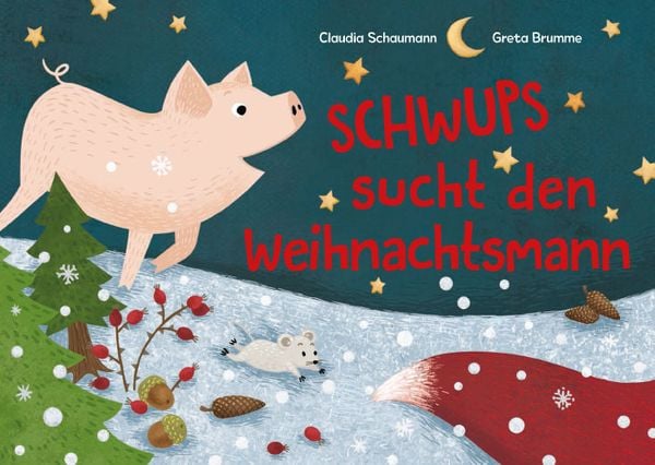 Produktbild: Schwups sucht den Weihnachtsmann