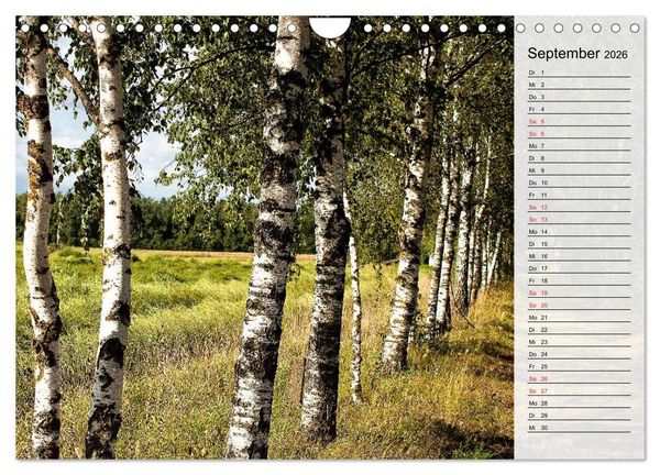 Produktbild: Litauen - Streifz&uuml;ge durch die junge Ostseerepublik (Wandkalender 2026 DIN A4 quer), CALVENDO Monatskalender