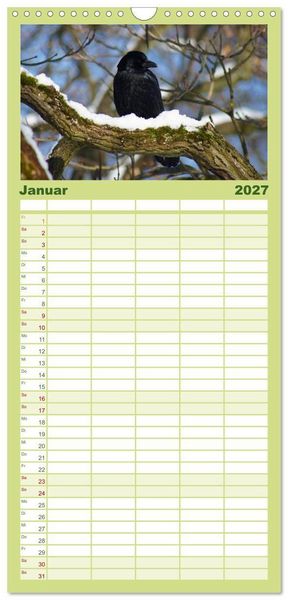 Produktbild: Familienplaner 2027 - Das Leben der Rabenv&ouml;gel mit 5 Spalten (Wandkalender, 21 x 45 cm) CALVENDO