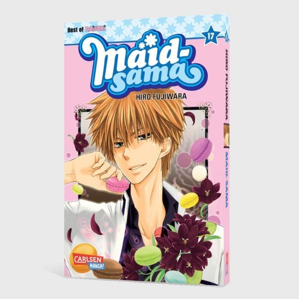 Produktbild: Maid-sama 17