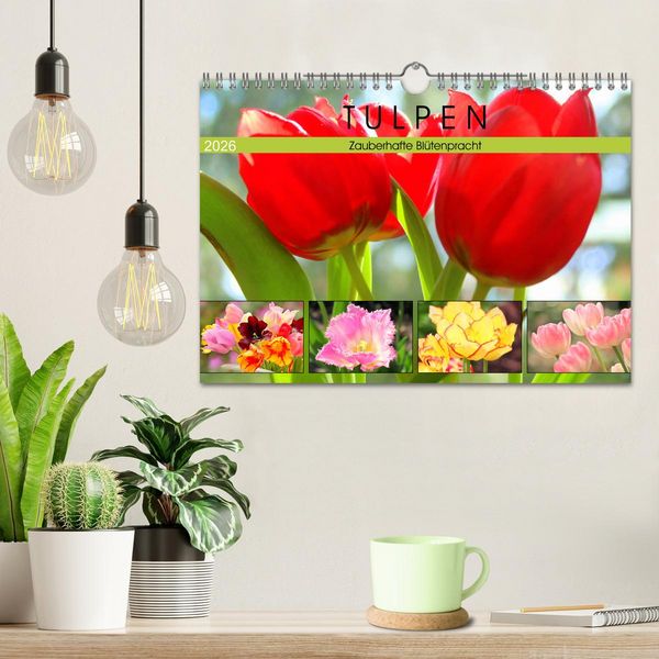 Produktbild: Tulpen. Zauberhafte Bl&uuml;tenpracht (Wandkalender 2026 DIN A4 quer), CALVENDO Monatskalender