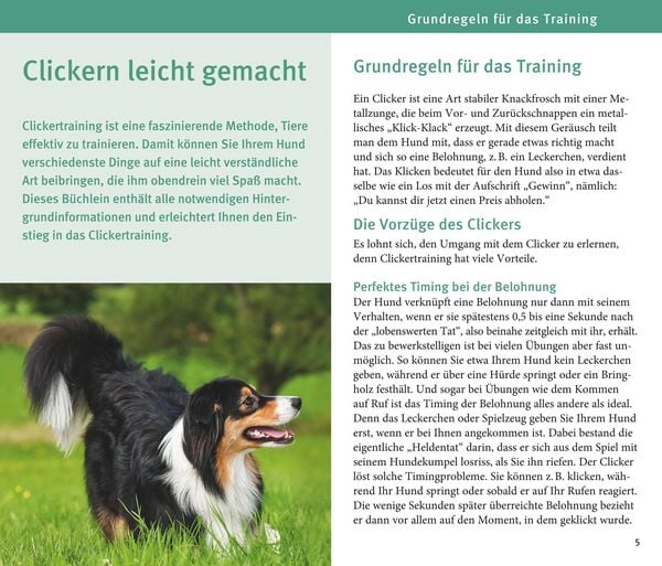 Produktbild: Hunde-Clicker-Box