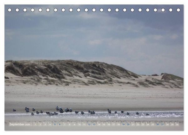Produktbild: Texel. Neue D&uuml;nen (Tischkalender 2026 DIN A5 quer), CALVENDO Monatskalender