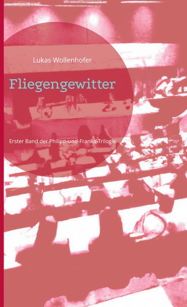 Produktbild: Fliegengewitter