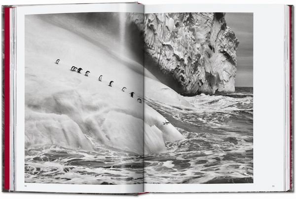 Produktbild: Sebasti&atilde;o Salgado