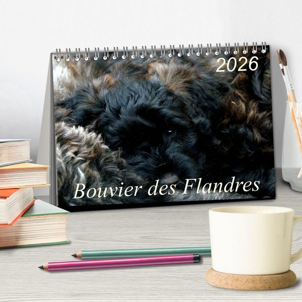 Produktbild: Bouvier des Flandres (Tischkalender 2026 DIN A5 quer), CALVENDO Monatskalender