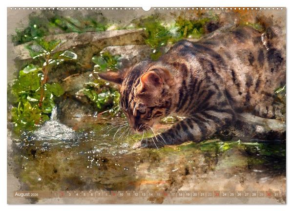 Produktbild: Katzenkalender mausgemalt (hochwertiger Premium Wandkalender 2026 DIN A2 quer), Kunstdruck in Hochglanz