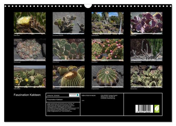 Produktbild: Faszination Kakteen (Wandkalender 2026 DIN A3 quer), CALVENDO Monatskalender