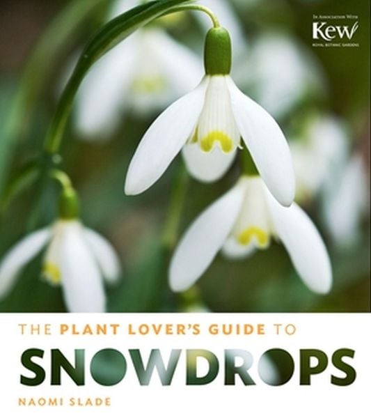 Produktbild: The Plant Lover's Guide to Snowdrops