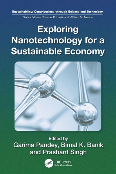 Produktbild: Exploring Nanotechnology for a Sustainable Economy