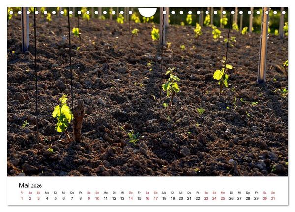 Produktbild: Impressionen vom Kaiserstuhl (Wandkalender 2026 DIN A4 quer), CALVENDO Monatskalender