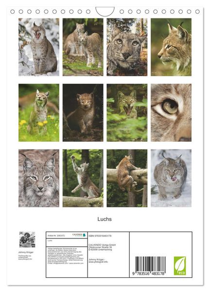 Produktbild: Luchs (Wandkalender 2026 DIN A4 hoch), CALVENDO Monatskalender