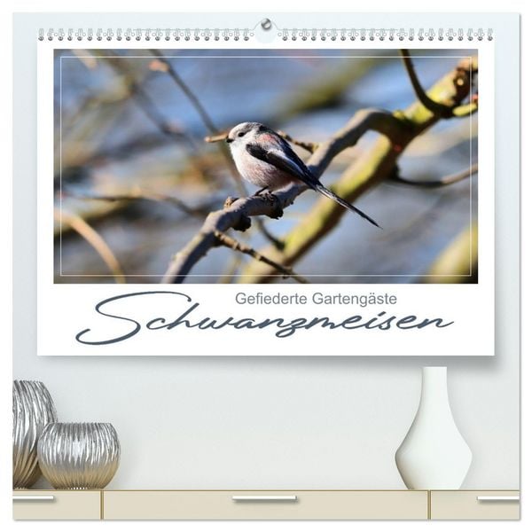 Gefiederte Gartengäste, Schwanzmeisen (hochwertiger Premium Wandkalender 2026 DIN A2 quer), Kunstdruck in Hochglanz