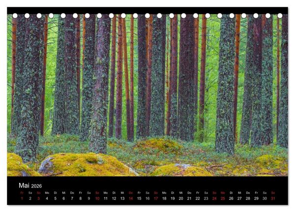 Produktbild: Naturwucht Skandinavien (Tischkalender 2026 DIN A5 quer), CALVENDO Monatskalender