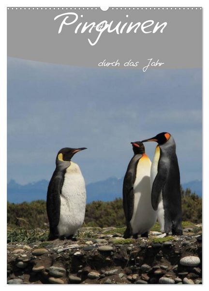 Mit Pinguinen durch das Jahr (Wandkalender 2026 DIN A2 hoch), CALVENDO Monatskalender