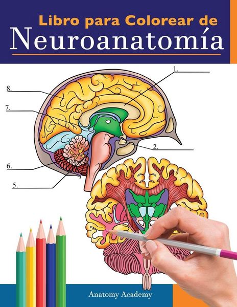 Produktbild: Libro para colorear de neuroanatom&iacute;a
