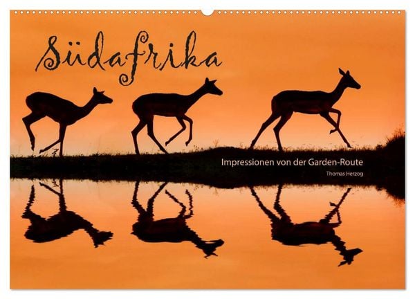 Produktbild: S&Uuml;DAFRIKA - Impressionen von der Garden Route (Wandkalender 2026 DIN A2 quer), CALVENDO Monatskalender